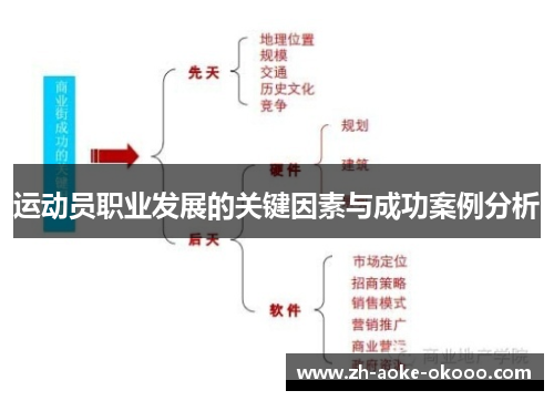 运动员职业发展的关键因素与成功案例分析